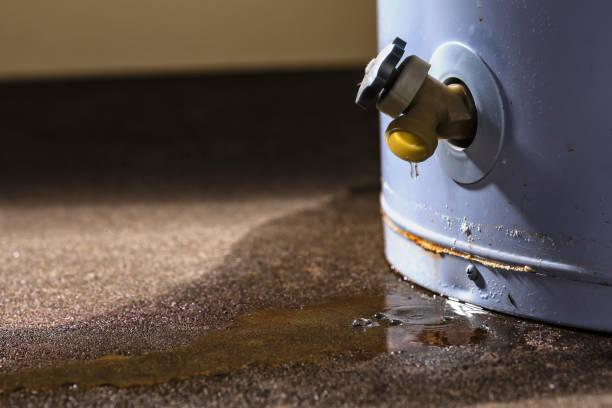Best Water damage restoration near me  in South Highpoint, FL