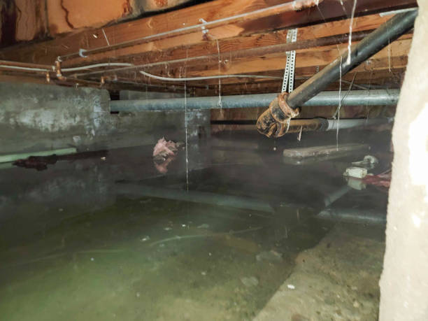 Best Commercial water damage restoration  in South Highpoint, FL