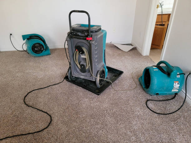 Professional Water damage restoration in FL