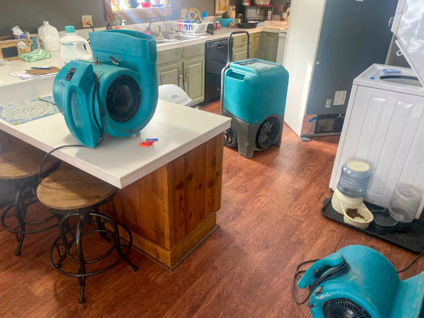 Best Ceiling water damage repair  in South Highpoint, FL