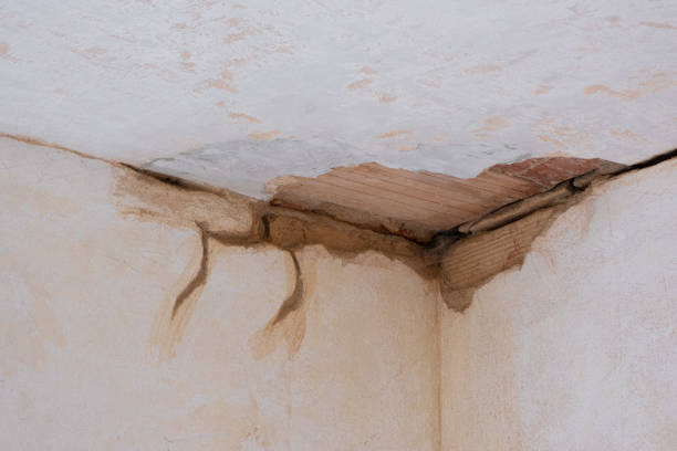 Best Flooded house restoration  in South Highpoint, FL