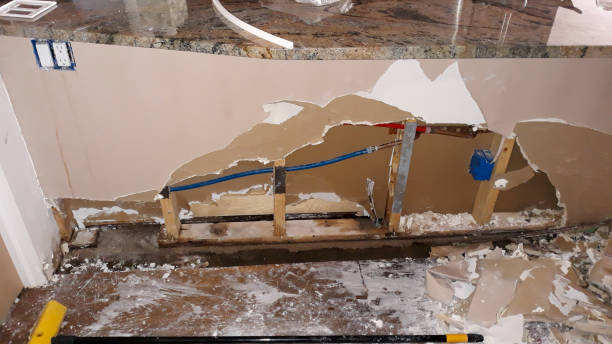 Best Water damage cleanup near me  in South Highpoint, FL