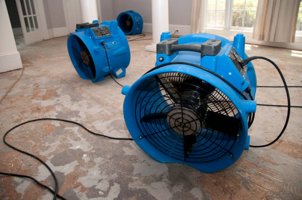 Best Fire Damage Restoration  in South Highpoint, FL