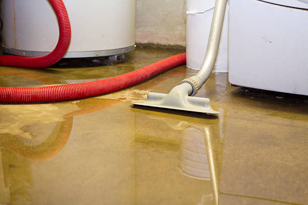 Best Local water damage restoration  in South Highpoint, FL