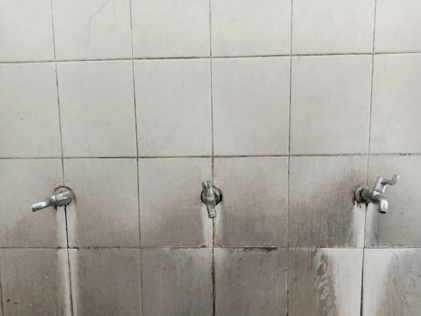 Best Water damage contractors near me  in South Highpoint, FL