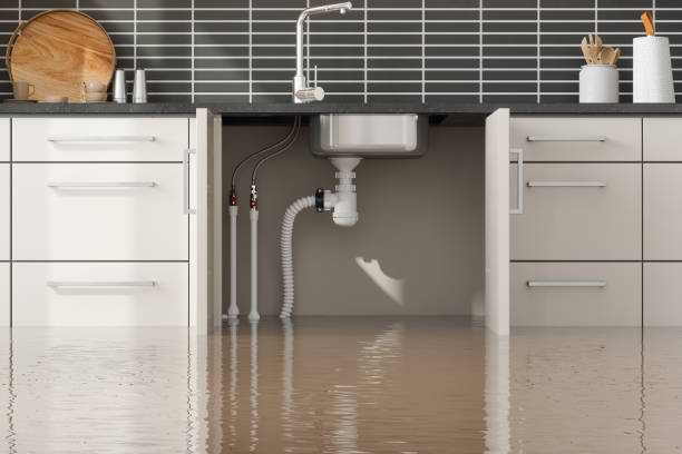 Best Residential water damage restoration  in South Highpoint, FL
