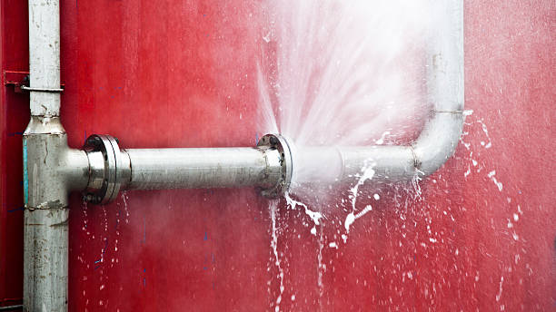 Best Flood damage cleanup  in South Highpoint, FL
