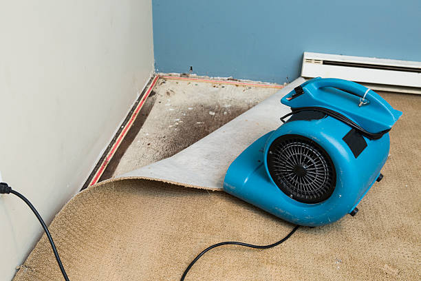 Best Sewage cleanup and water damage restoration  in South Highpoint, FL